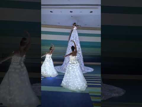 Pixel skirt white violinist & led dancers