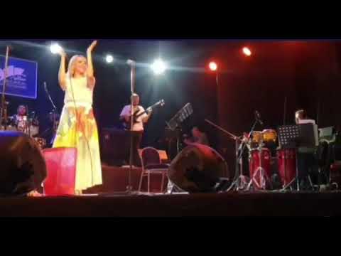 tonyrafik