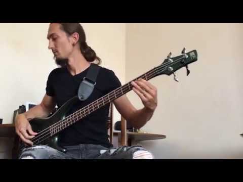 Lady Gaga - Just Dance (bass guitar cover)
