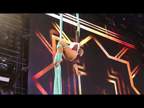 Aerial Silk