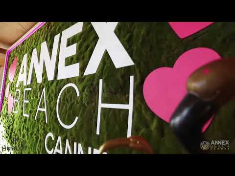 ANNEX BEACH JULY 2018