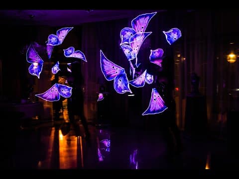 Led show