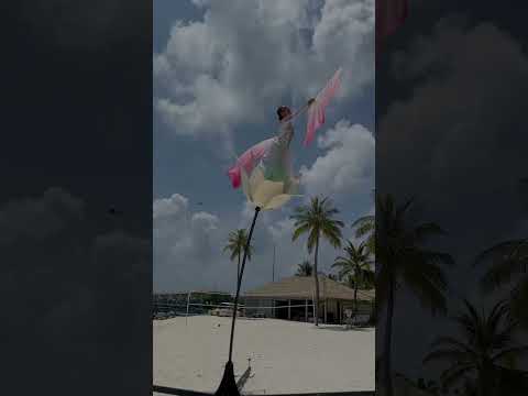 Sway Pole