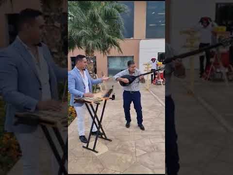 My new hit at wedding party in egypt