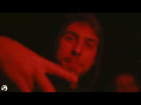 djanm1 2