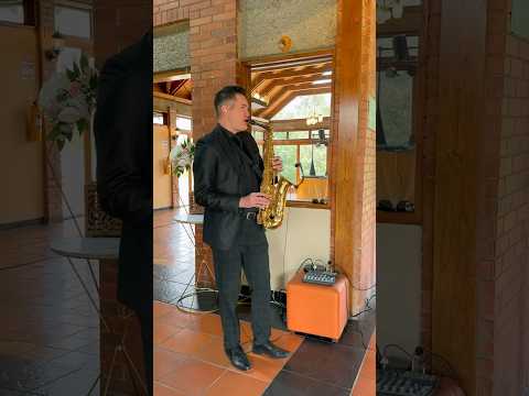Somos Novios Bolero - Wedding Reception