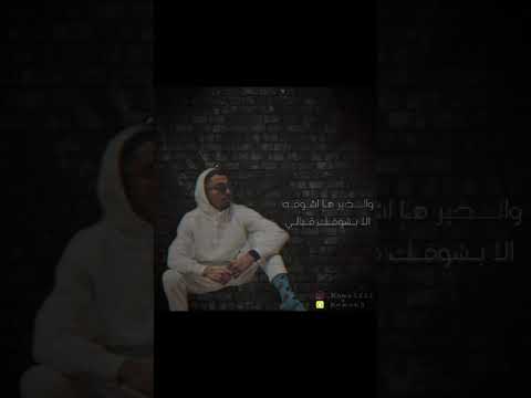 kamalfil 3