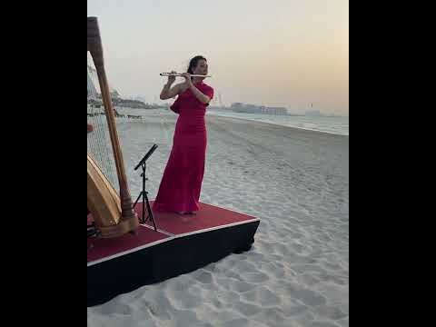 Duo flute and harp