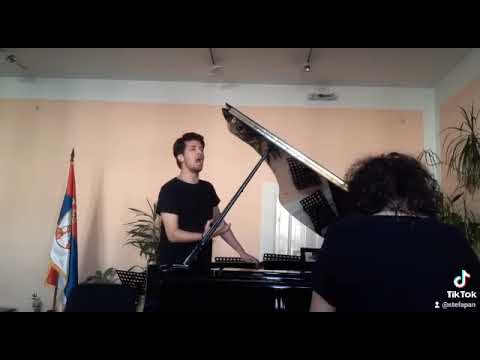 stefan pavlovic 3