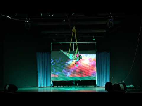 Duo Impression - Aerial Hammock 2018