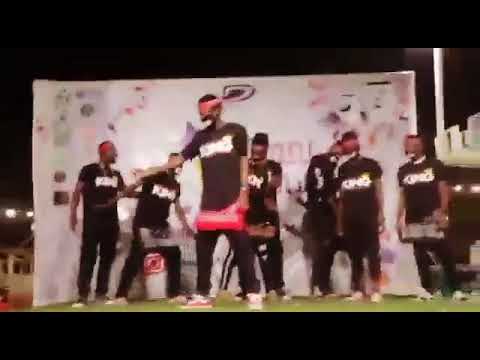popping  tiger 6