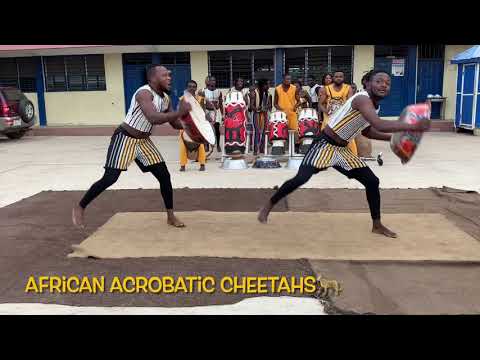 ACROBATIC ACROBATIC CHEETAHS