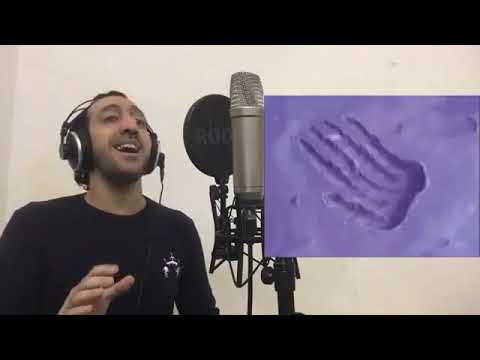 ehab hamdi 3
