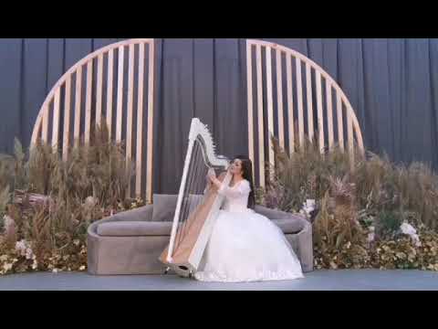 Harpist Solo