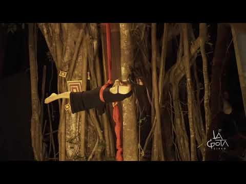 Aerial Silk
