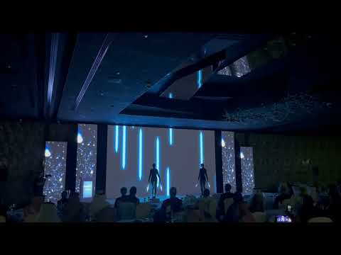 Video Mapping Show
