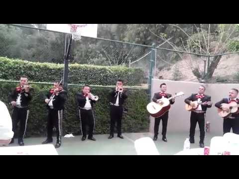 Son de la negra