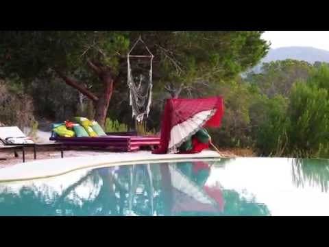 HipnopiA live butterflies show