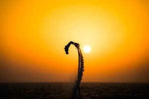 Flyboard Pro Rider