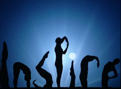 Mozart Shadow Show