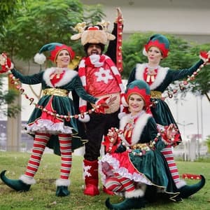 Christmas Shows