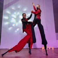 Alfalunatic Artistic Duo