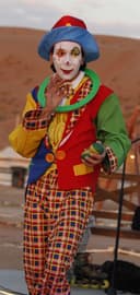Circus arist