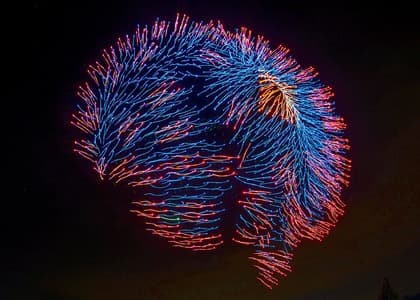 Drone Light Show